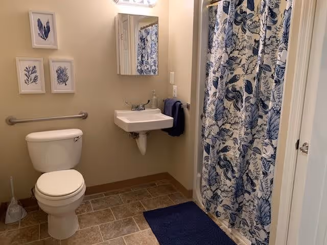A small bathroom featuring a white toilet, a wall-mounted sink with a mirror above it, a blue and white floral shower curtain, a blue bath mat, and three framed botanical prints on the wall.