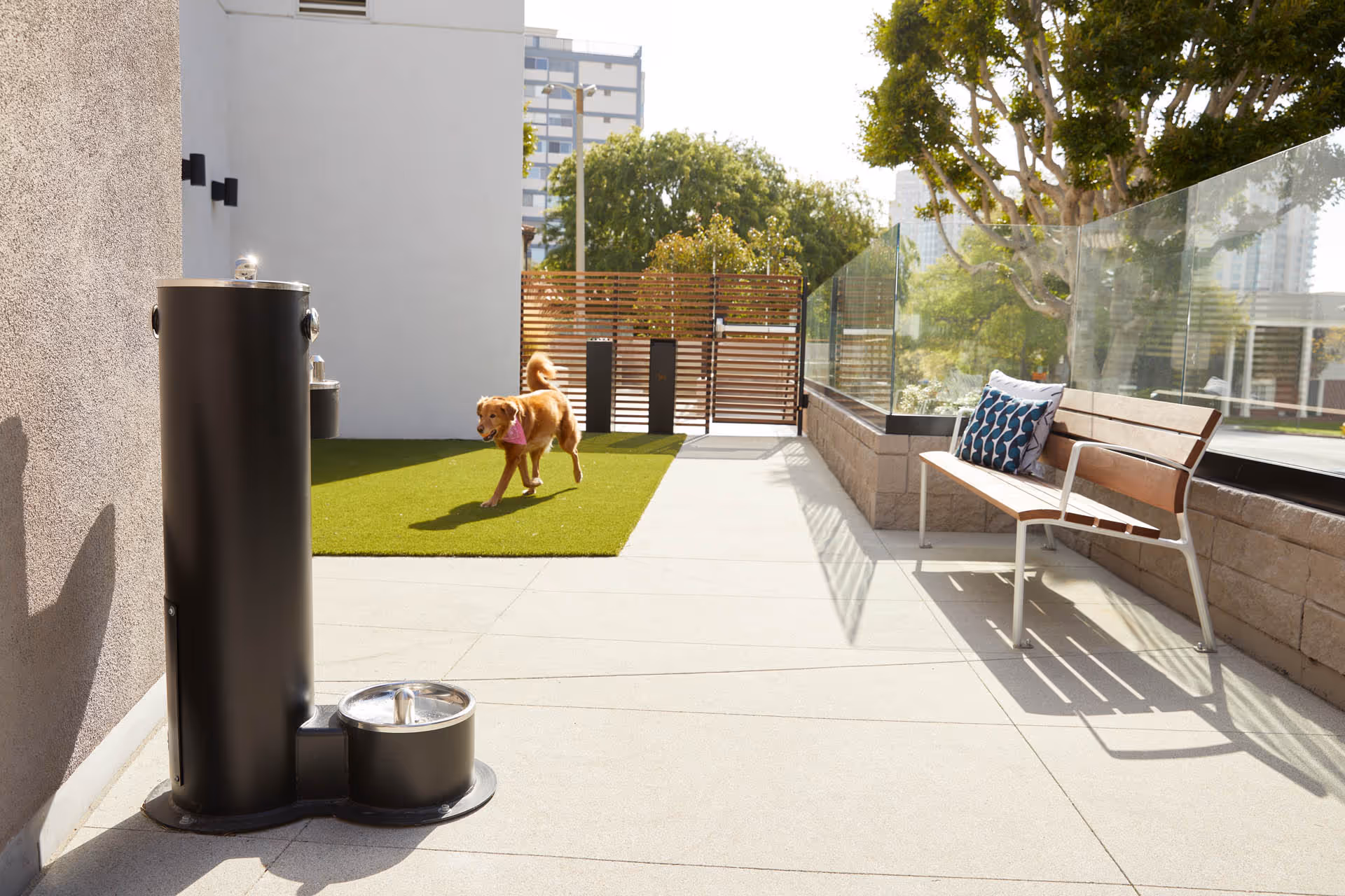 Outdoor patio area with a wooden bench featuring two decorative pillows, a black water fountain with a pet drinking bowl, and a small brown dog wearing a pink bandana walking on artificial grass. Trees and buildings are visible in the background.