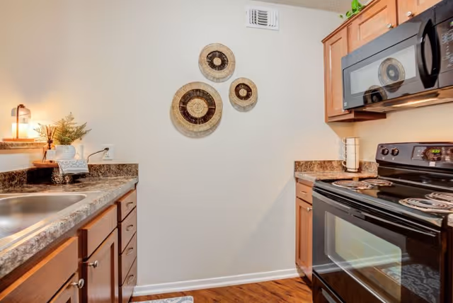 A compact kitchen with wooden cabinets, a black electric stove with oven, a black microwave above the stove, and a stainless steel sink. The countertops have a granite pattern, and there are decorative woven wall hangings on the white wall. A small lamp and a potted plant are on the left countertop.