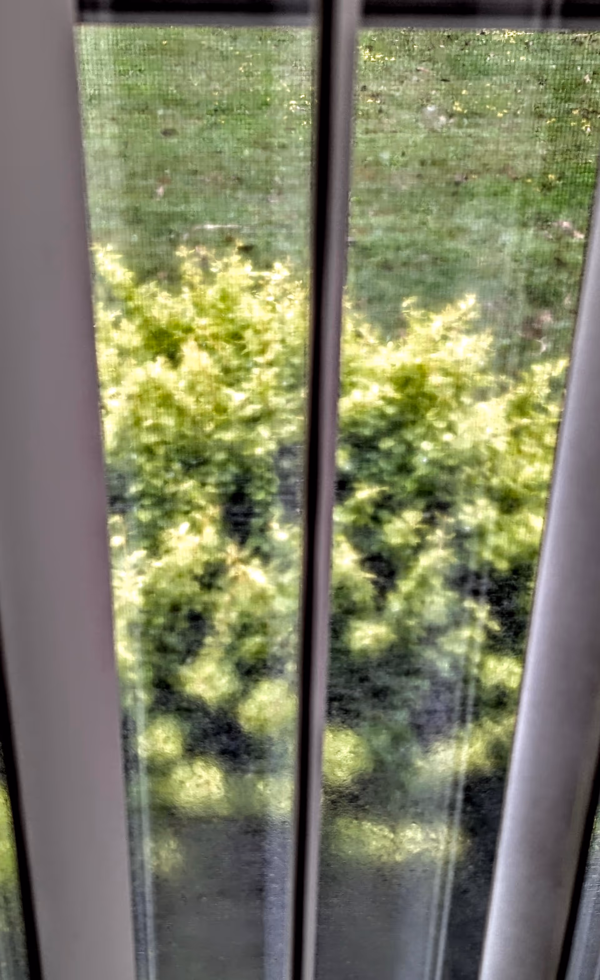 View through a screened sliding door with vertical blinds revealing green shrubs and a grassy lawn outside.