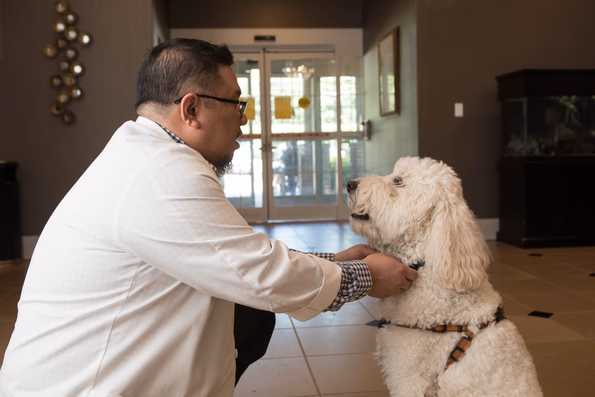 A man wearing glasses and a white coat is kneeling and interacting with a large white fluffy dog inside a building lobby with tiled floors and glass doors in the background.
