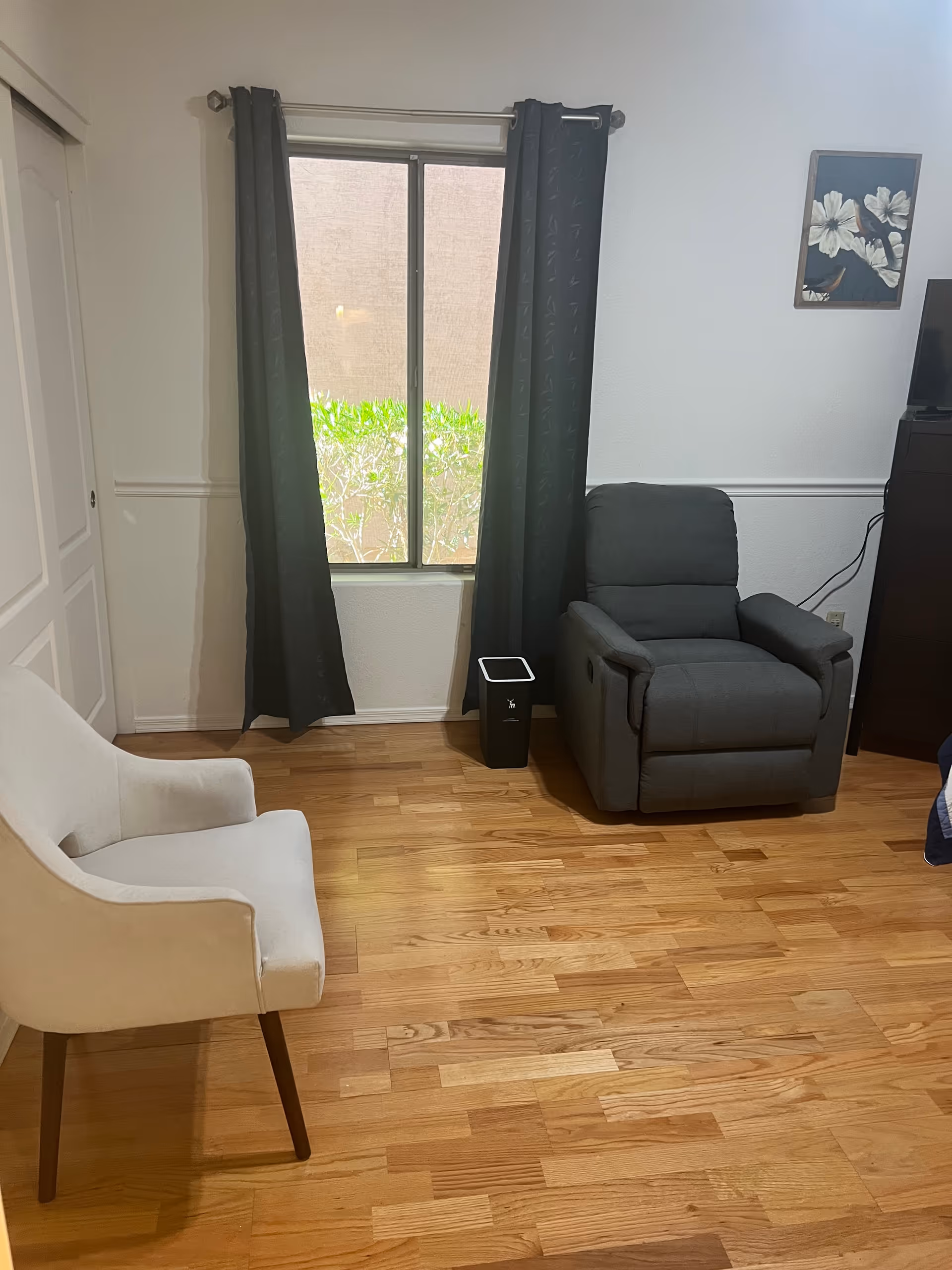 A room with wooden flooring featuring a gray recliner chair and a white upholstered chair. There is a window with dark curtains partially open, showing greenery outside. A small black trash bin is placed near the window. A framed floral artwork hangs on the white wall next to a TV on a dark wooden stand.