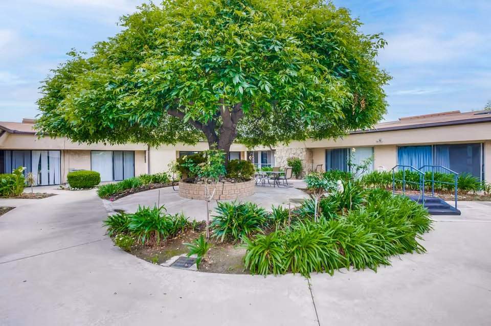 Outdoor courtyard area at Arcadia Healthcare Center featuring a large leafy tree in the center surrounded by a circular brick planter. There are green plants and shrubs around the planter and along the concrete pathways. The courtyard is enclosed by a single-story building with sliding glass doors and windows, some with curtains. Patio tables and chairs are visible near the building.