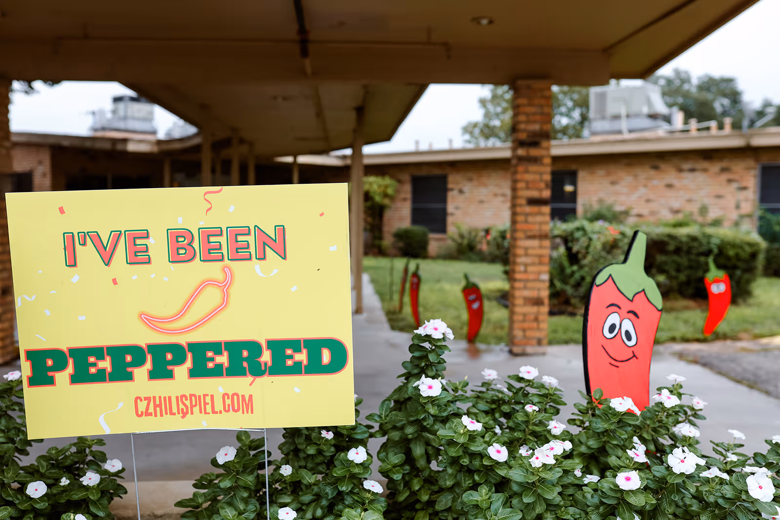 A yellow sign with the text 'I'VE BEEN PEPPERED' and a chili pepper graphic is placed among green plants with white flowers outside a brick building. Several cartoon chili pepper cutouts are also visible in the background near the walkway and bushes.