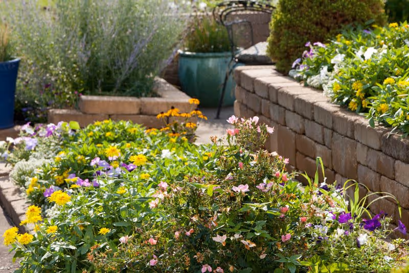 A vibrant garden area with various colorful flowers including yellow, purple, and pink blooms, bordered by a low stone retaining wall. There are potted plants and a metal chair visible in the background, suggesting a peaceful outdoor seating space.