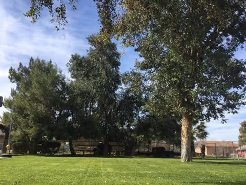 Outdoor lawn with trees and a distant facility building.