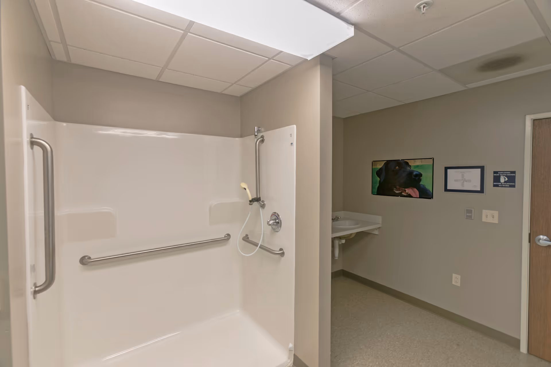 A clean, accessible shower area with grab bars and a handheld showerhead in a senior living facility bathroom. Adjacent to the shower is a small sink mounted on the wall, and the walls are painted a neutral beige color. There is a framed picture of a black dog and some informational signs on the wall near a closed wooden door.