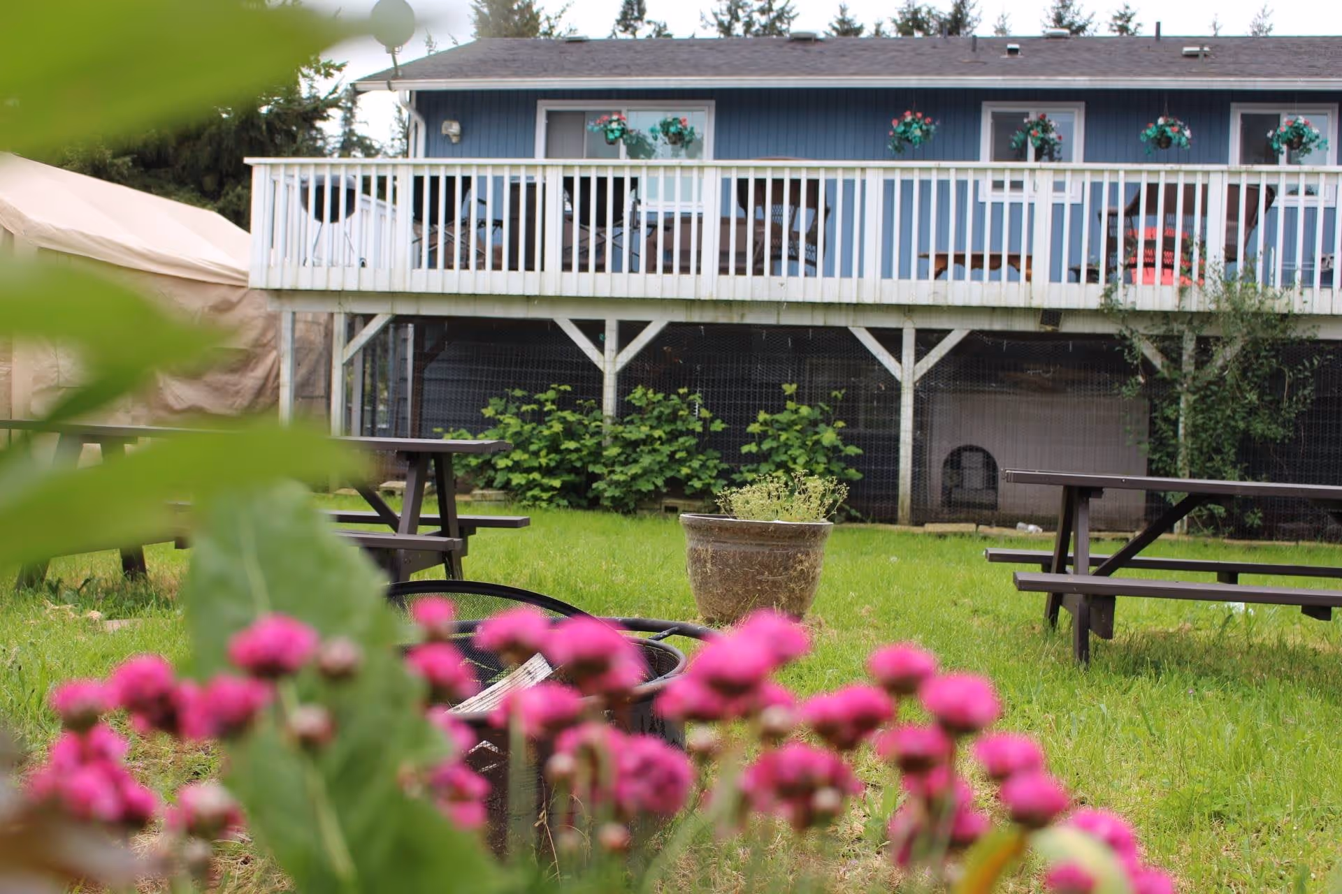Outdoor garden area with green grass, pink flowers in the foreground, two wooden picnic tables, a large planter, and a blue building with a white railing deck adorned with hanging flower pots in the background.