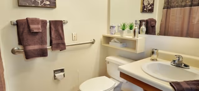 A small bathroom with a white toilet and sink. Above the toilet is a shelf holding decorative items and a box of tissues. Brown towels hang on a metal bar on the wall and on the edge of the sink. A large mirror is mounted above the sink, reflecting part of the shower curtain and wall decor.