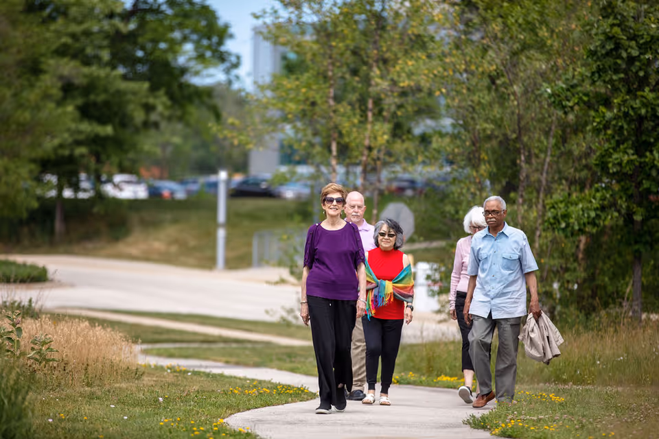 A group of five elderly people walking together on a paved path surrounded by greenery and trees on a sunny day.