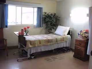 A hospital-style patient bed in a bright bedroom with window, curtains, plants, and a dresser.