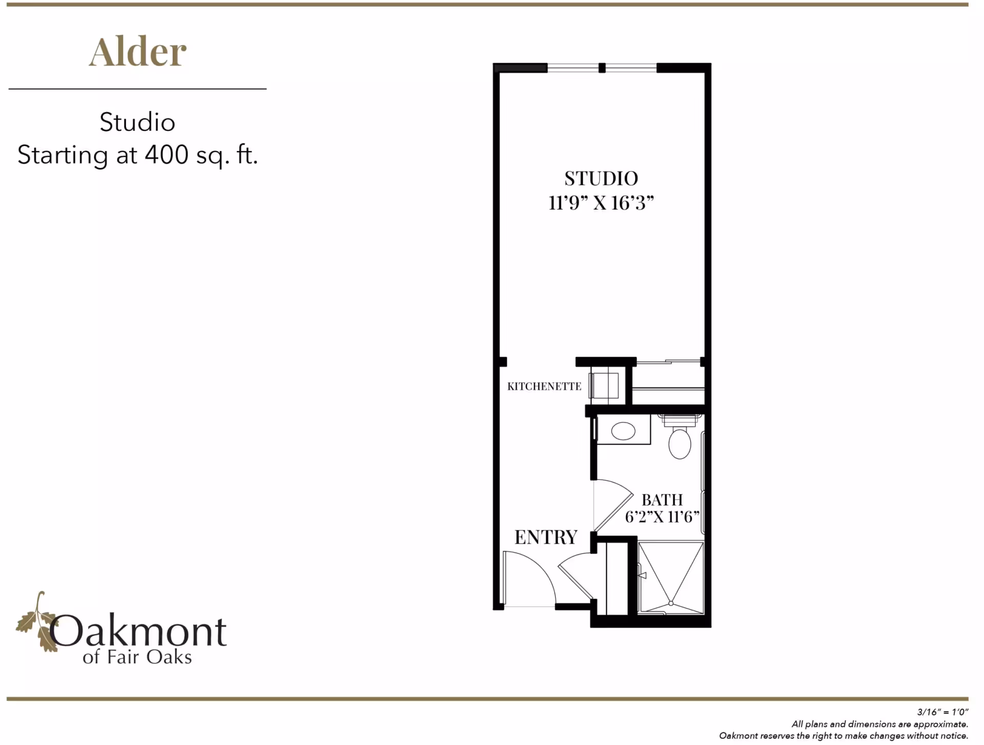 Floor plan titled 'Alder' for a studio apartment showing a studio area, kitchenette, bathroom, and entry with measurements.