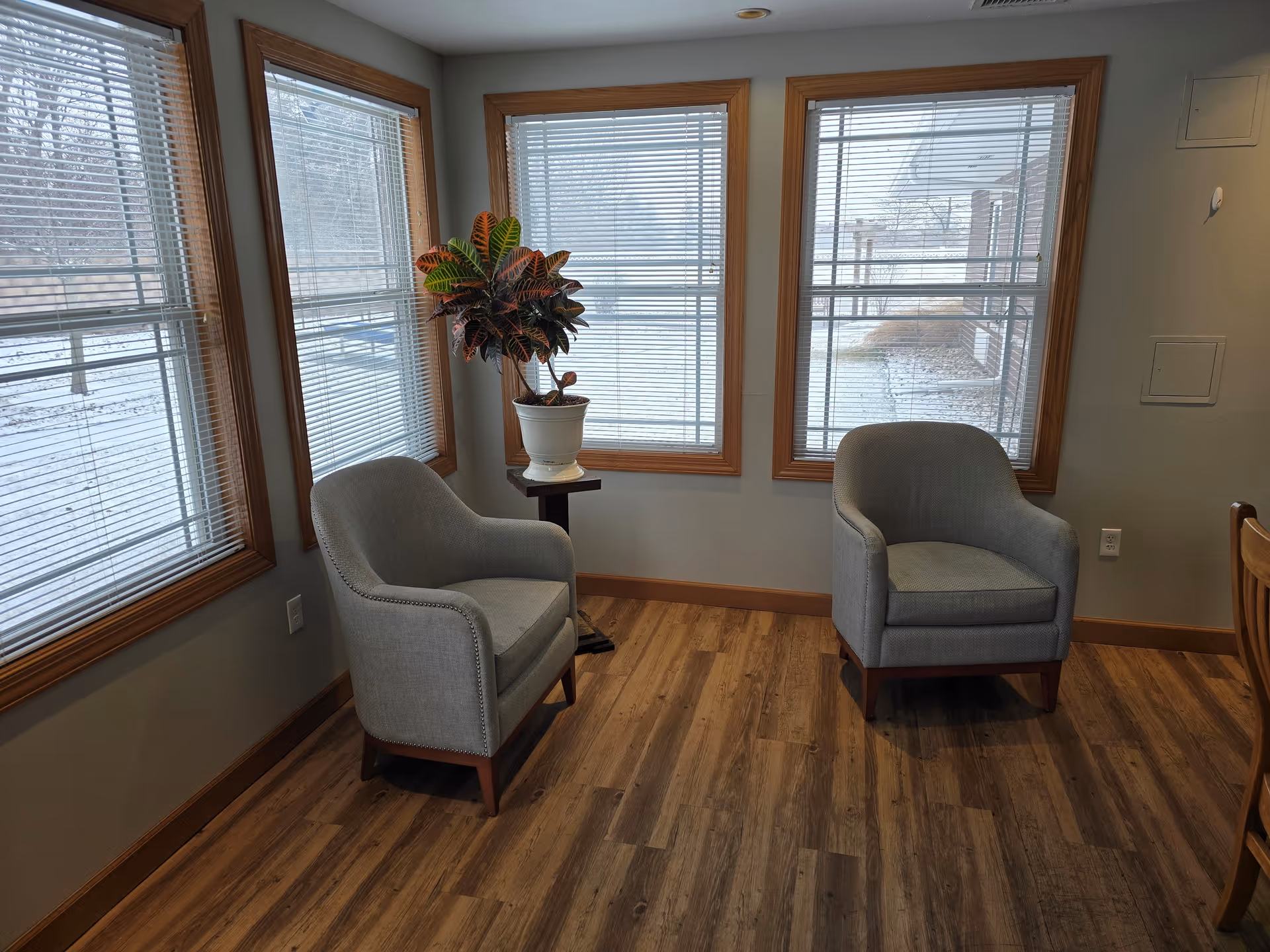 Two gray armchairs beside three windows with blinds and a potted plant on a small table in a seating area with wood flooring.