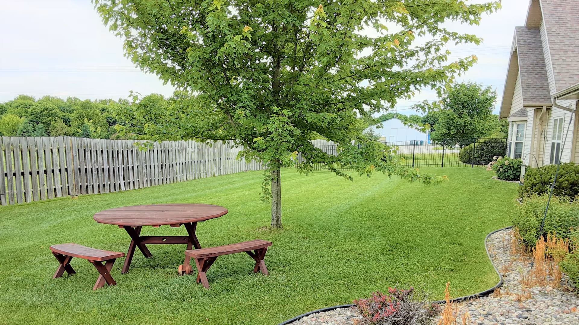 A green backyard with a round wooden picnic table and two benches under a tree beside a house and fence.