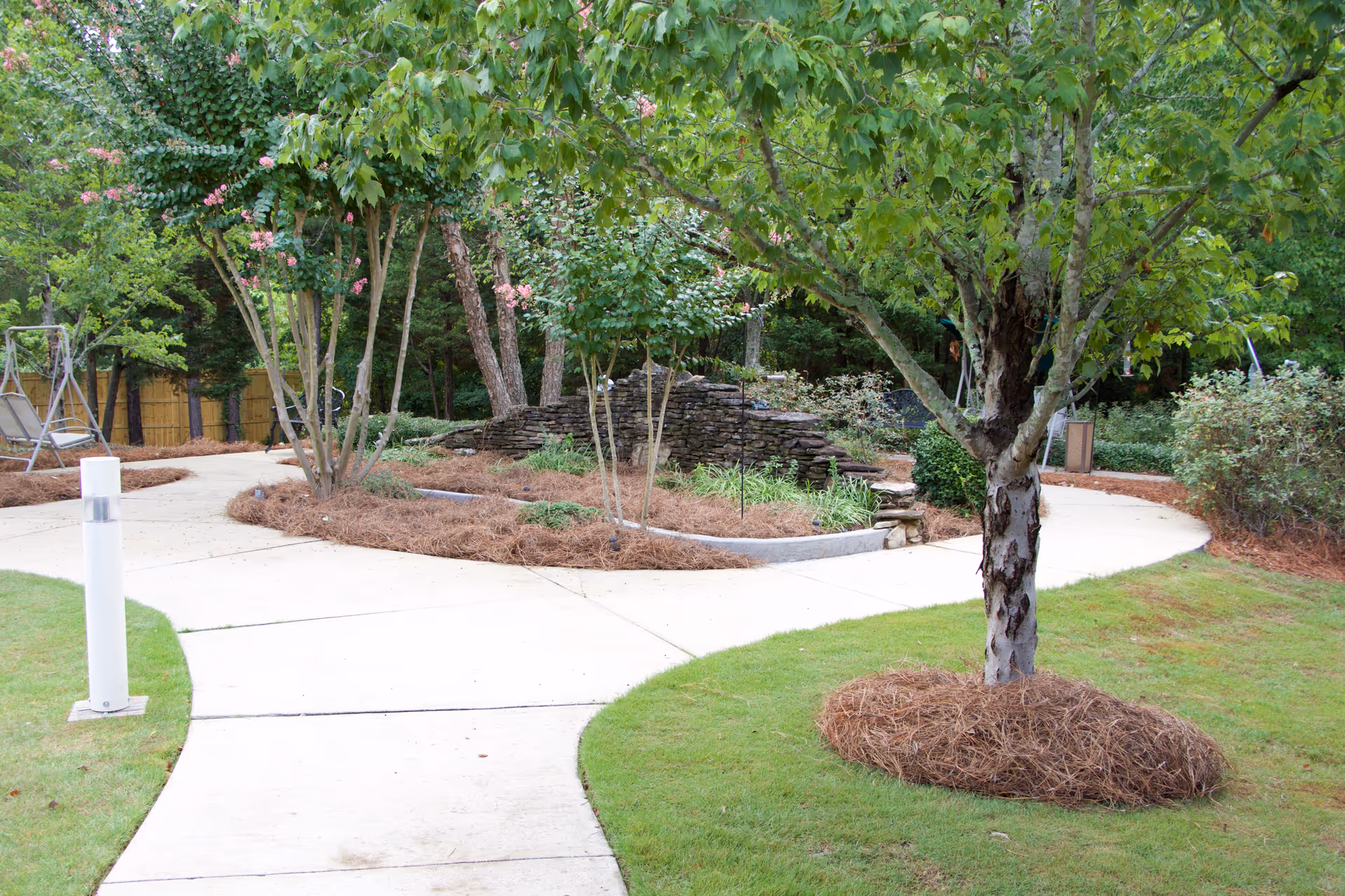 Curved concrete walkway in a landscaped outdoor courtyard with trees and mulch.