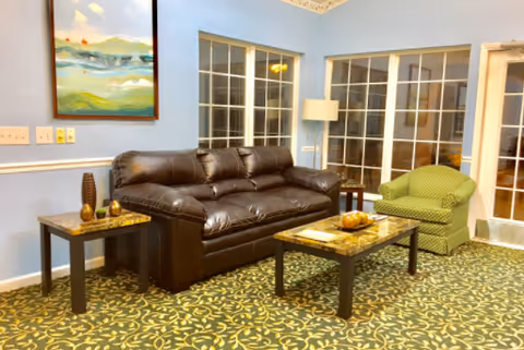 A cozy living room with a dark brown leather sofa, a green upholstered armchair, a coffee table with a decorative bowl, and a side table with decorative items. The walls are painted light blue and feature a large landscape painting. There are large windows with white frames and a door with glass panels.