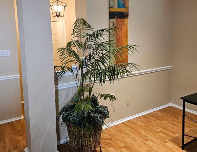 Interior corner with a tall potted palm plant by a half wall, wood flooring, and wall art.
