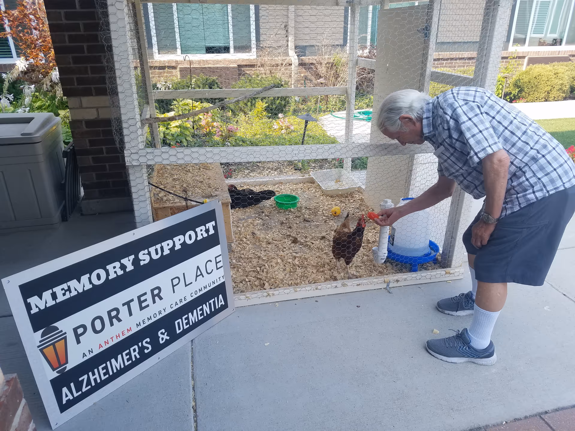 An elderly man wearing a plaid shirt, shorts, white socks, and sneakers is feeding chickens inside a small outdoor chicken coop. The coop is enclosed with wire mesh and contains wood shavings, a small wooden house, and a water dispenser. A sign next to the coop reads 'Memory Support Porter Place An Anthem Memory Care Community Alzheimer's & Dementia.'