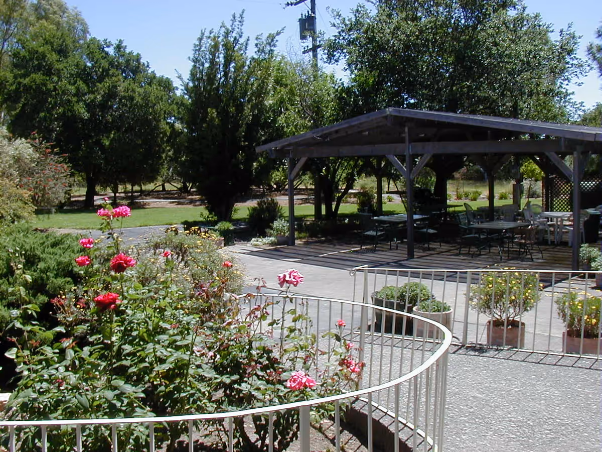 Garden area with pink roses, a curved white railing, potted plants and a shaded wooden pavilion with tables and chairs.