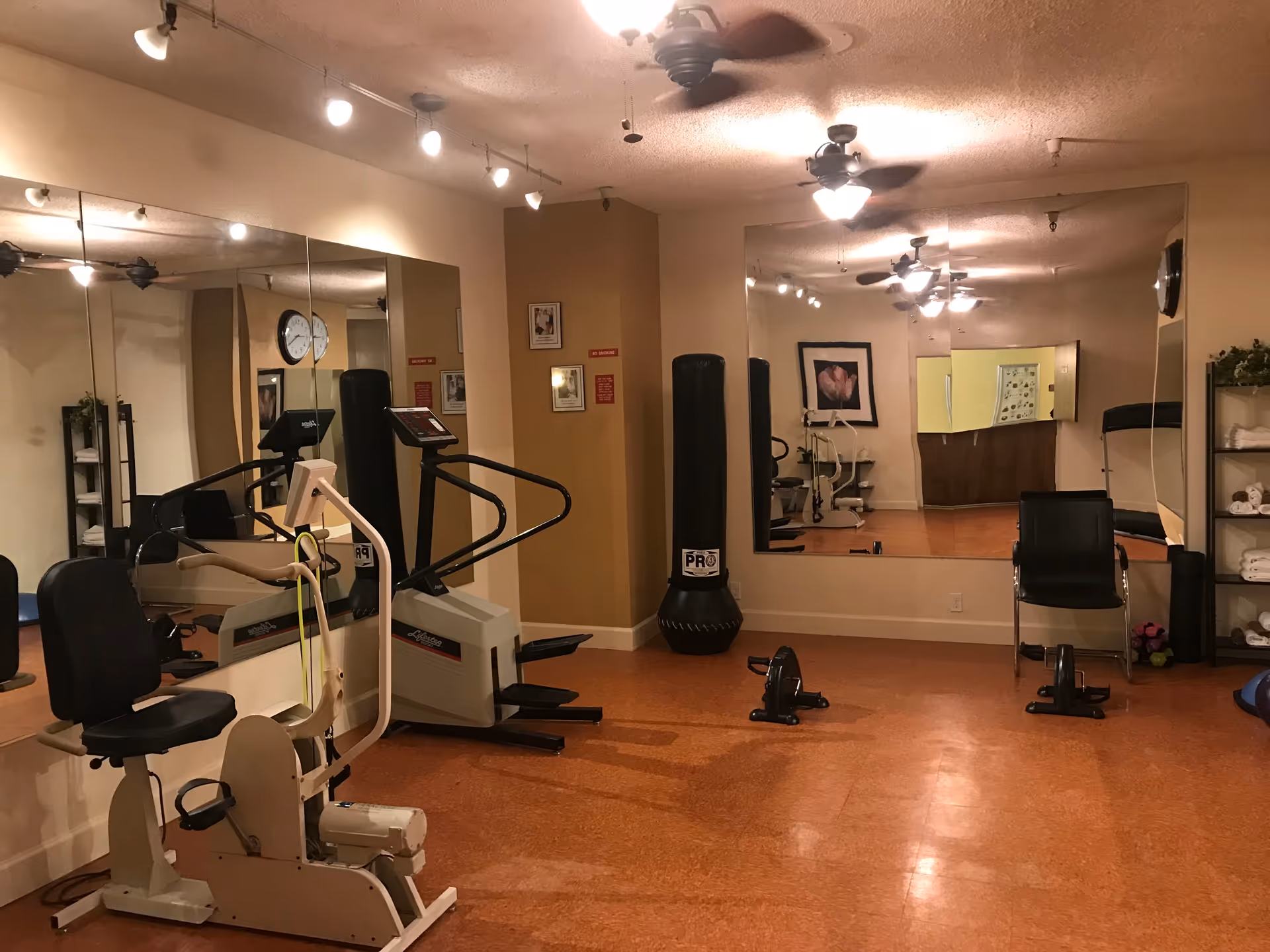 Small fitness room with cardio machines, a punching bag, large wall mirrors, and shelving with towels.