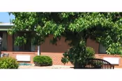 Exterior view of a brick building partially obscured by a large leafy tree and some bushes in front. There is a bench visible near the tree.