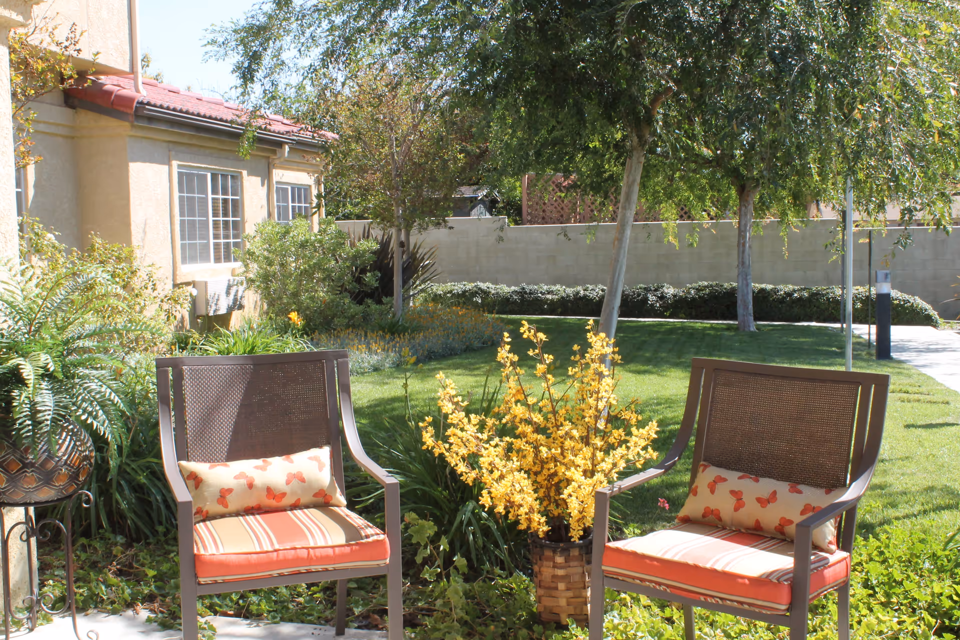 Outdoor seating area with two brown chairs featuring orange and striped cushions, a basket of yellow flowers between them, surrounded by green plants and trees, with a beige building and windows in the background.