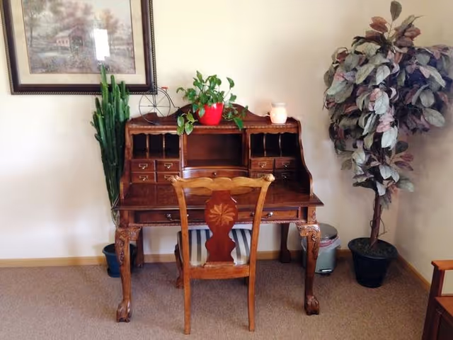 A wooden antique-style desk with multiple small drawers and compartments, accompanied by a matching wooden chair with a carved backrest. On top of the desk are two potted plants and a small decorative item. To the left of the desk is a tall cactus plant in a pot, and to the right is a large leafy potted plant. A framed painting hangs on the wall above the cactus. The room has beige walls and carpeted flooring.