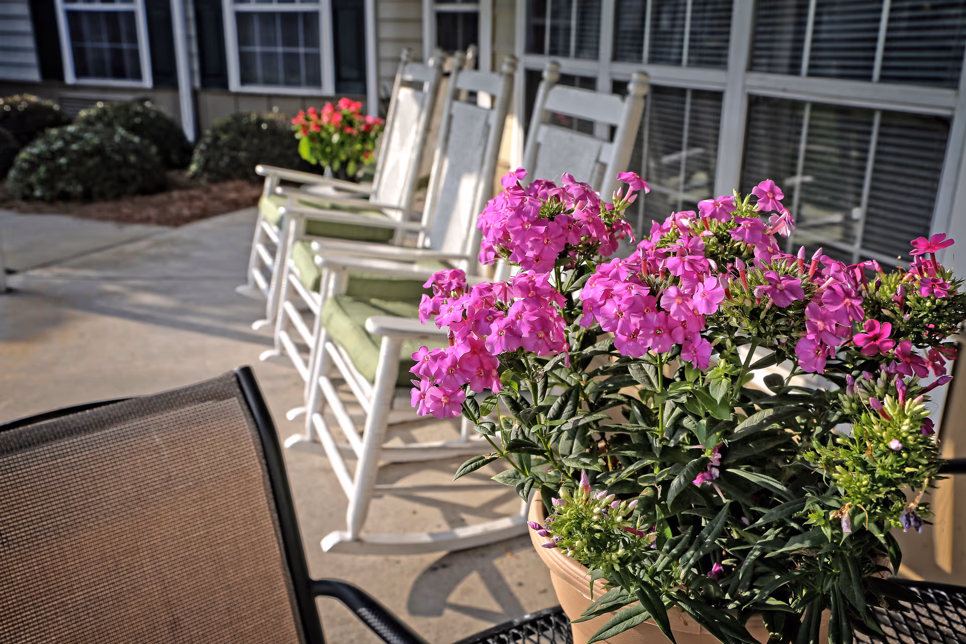 Potted pink flowers on a patio with white rocking chairs and windows of the senior living facility in the background.