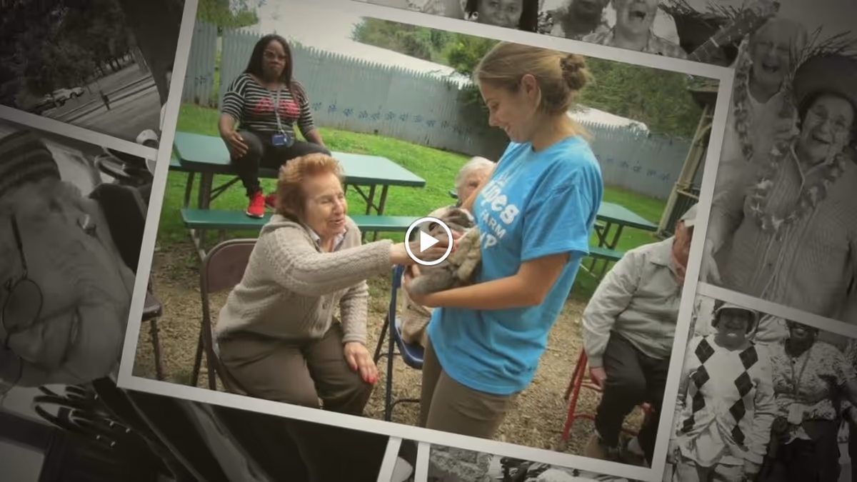 A group of elderly people and a young woman outdoors at a senior living facility. The young woman in a blue shirt is holding a small animal, and an elderly woman seated in front is reaching out to pet it. Other seniors are seated nearby on chairs and benches, with a green picnic table and a fence in the background.
