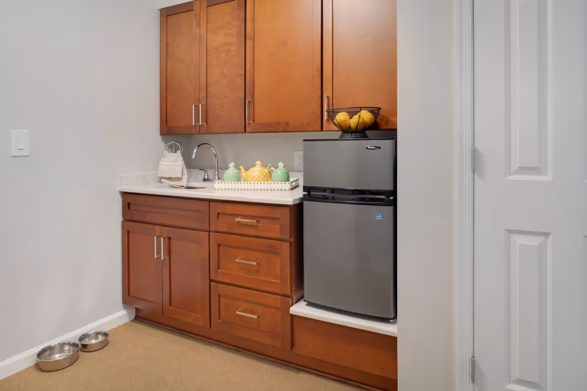 Small kitchenette with wooden cabinets, a countertop sink, a compact refrigerator, and a fruit bowl, with pet bowls on the floor.