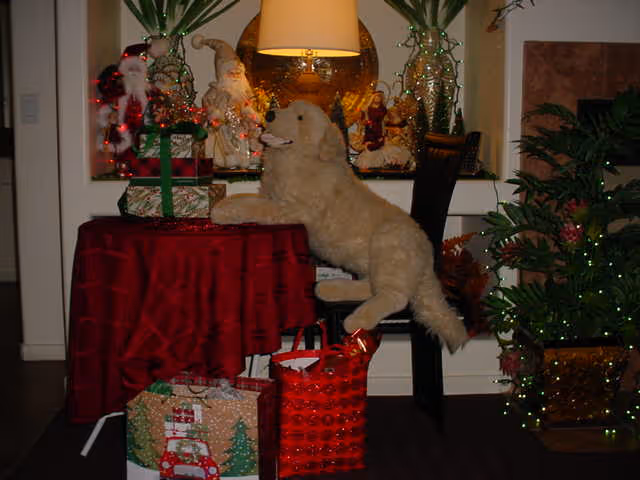Indoor holiday display with a stuffed dog on a chair beside a small table draped in red cloth, surrounded by wrapped gifts and festive decorations.