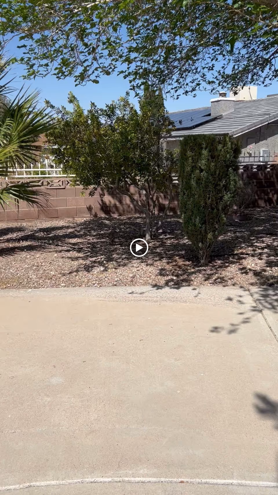 Outdoor area with a concrete pathway in the foreground, small trees and bushes planted in a gravel bed, a brick wall in the background, and part of a house roof visible under a clear blue sky.