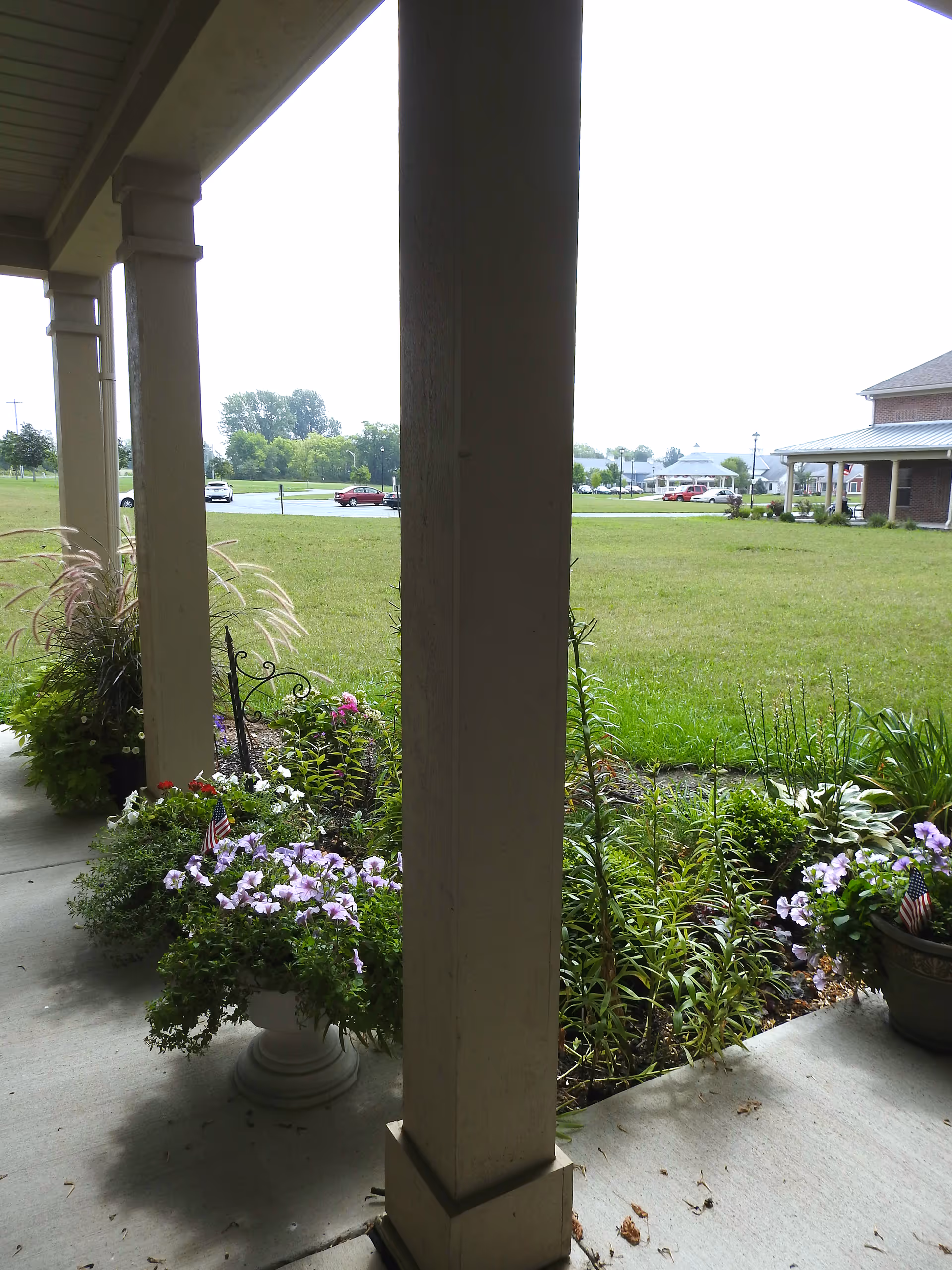 View from a covered porch showing flower pots with blooming purple and white flowers, green plants, and a grassy lawn extending to a parking area with cars and buildings in the background.
