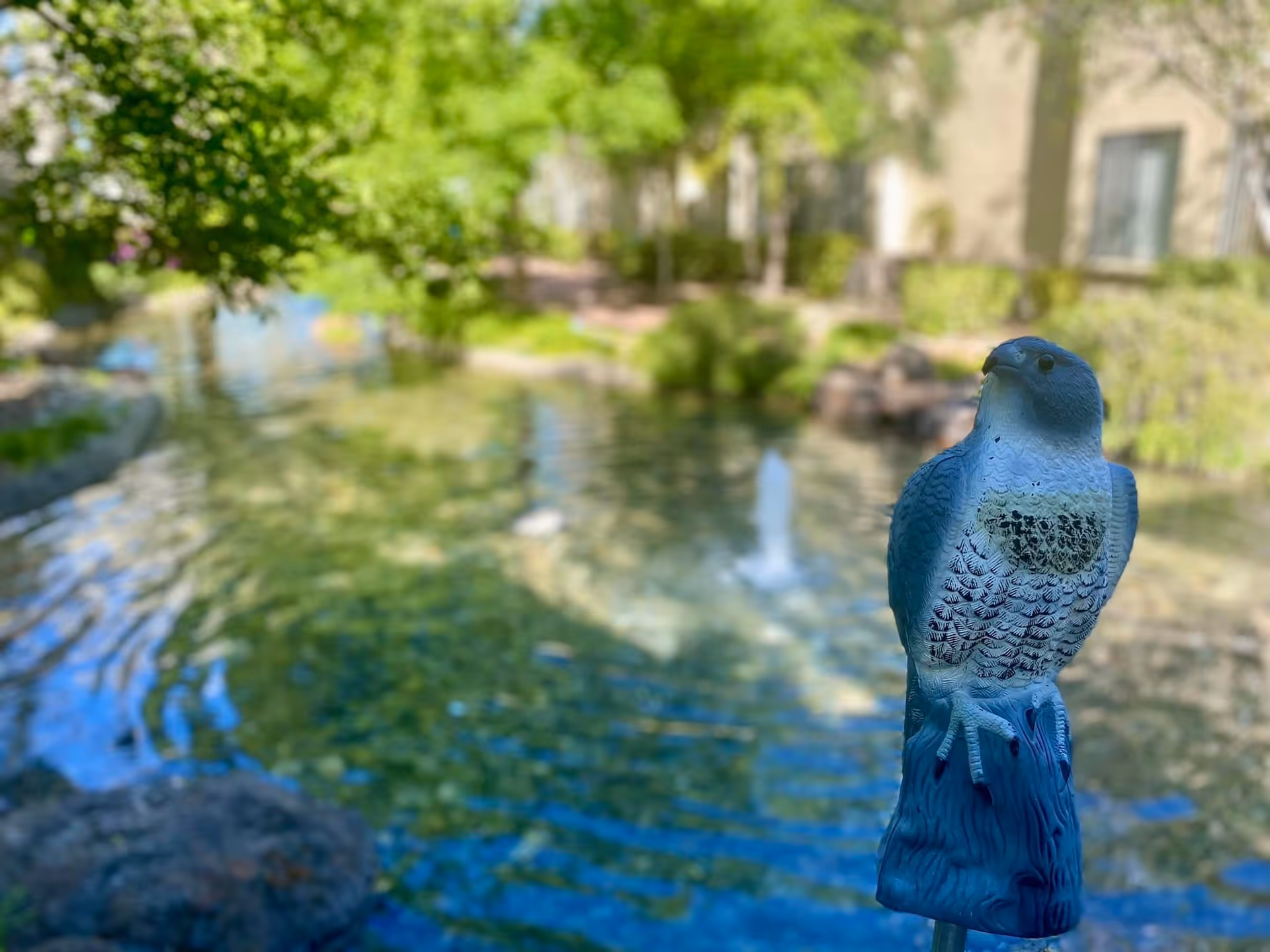 A close-up of a decorative bird statue perched on a post in front of a serene pond with clear water, surrounded by greenery and trees, with a building partially visible in the background.