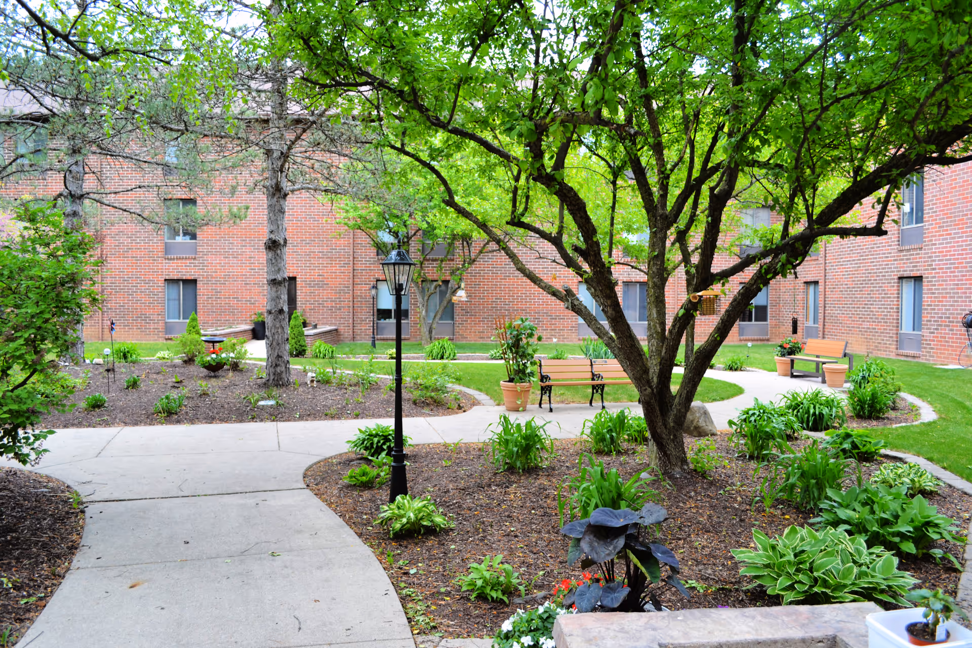 Courtyard with a curved concrete path, benches, lamp post, trees and plants in front of a brick building.