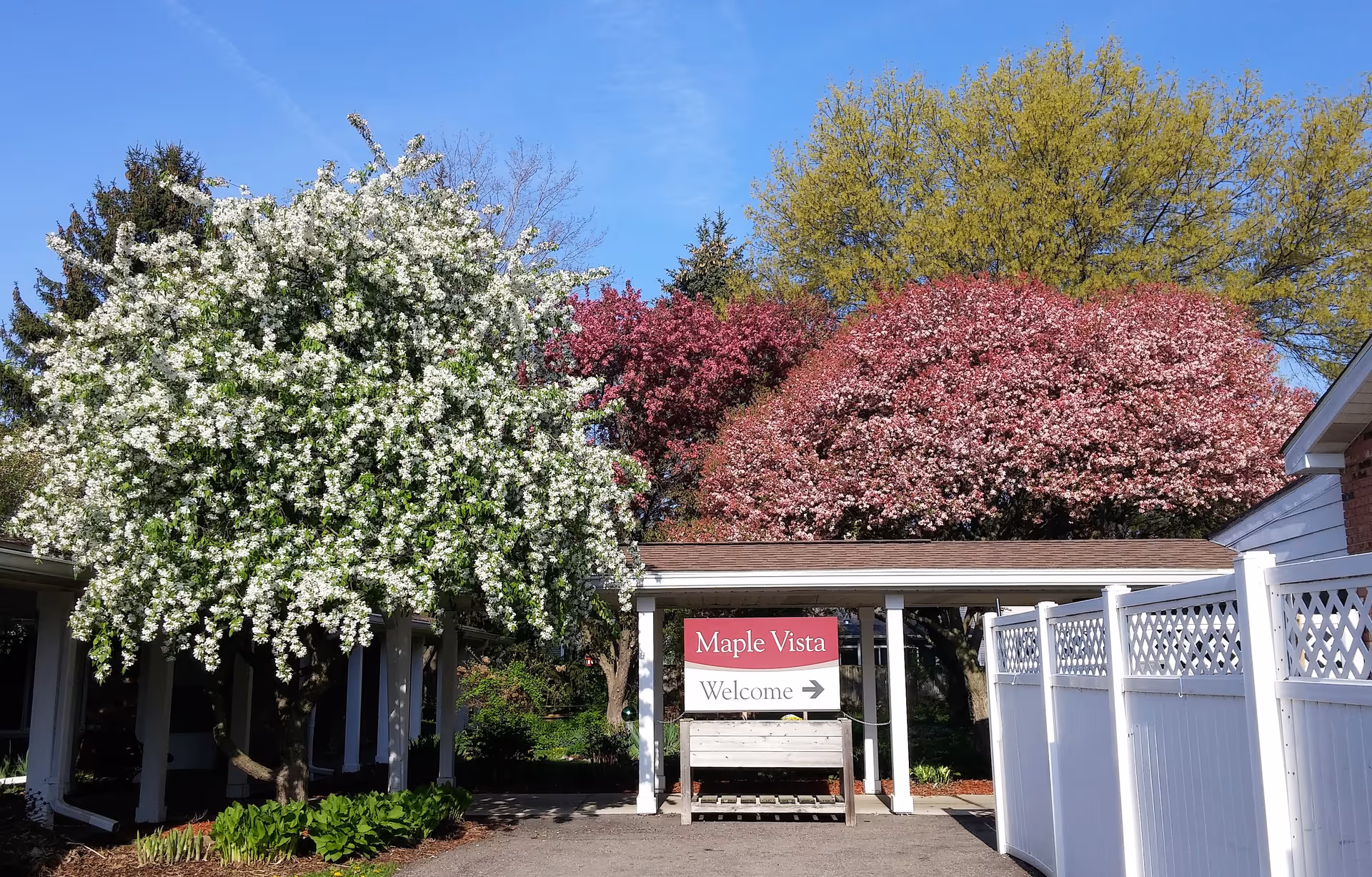 Entrance to Maple Vista with a welcome sign beneath flowering trees and a white fence.