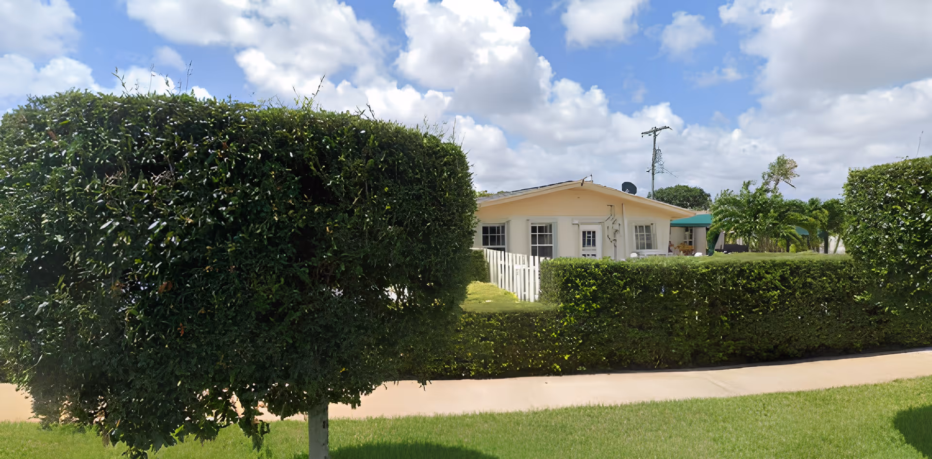 A small single-story house with white walls and multiple windows, partially obscured by neatly trimmed green hedges and a uniquely shaped tree in the foreground. The sky is blue with scattered white clouds.
