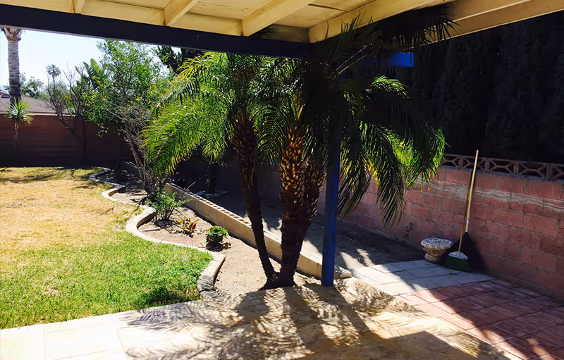 Shaded patio area opening onto a backyard with palm trees, lawn, and a brick boundary wall.