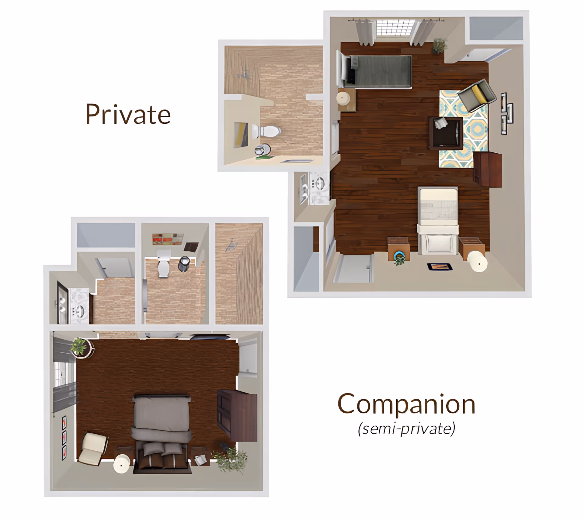 Top-down floor plan showing two types of rooms labeled Private and Companion (semi-private). The Private room includes a bed, chair, TV, and a private bathroom. The Companion room has two beds, a chair, a TV, and a shared bathroom area.