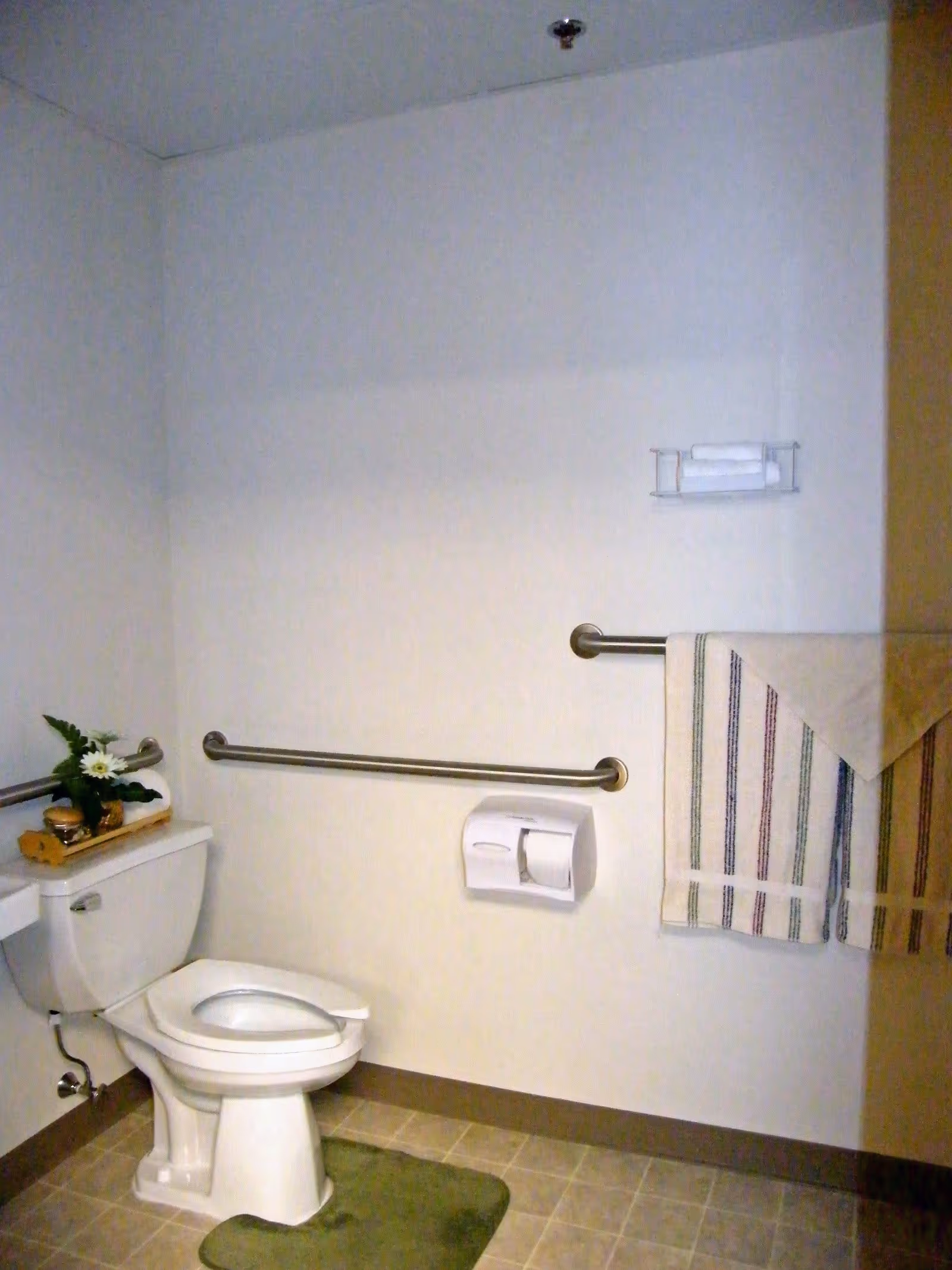 A clean bathroom with a white toilet, a green bath mat on the floor, and a towel rack on the wall holding two striped towels. There is a small plant and decorative items placed on the toilet tank. The walls are plain and light-colored with metal grab bars installed for support.