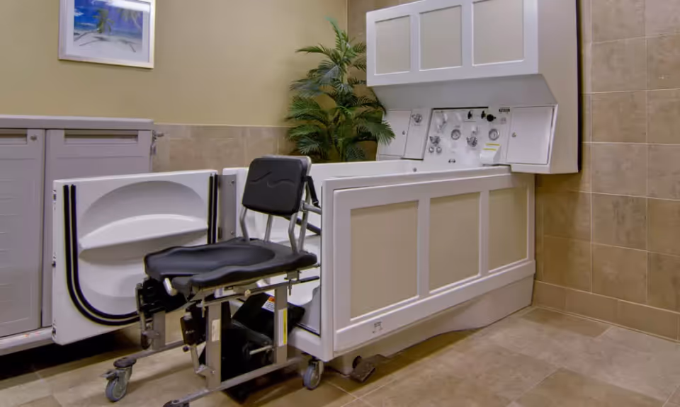 A specialized bathing chair positioned next to a walk-in bathtub in a tiled room with beige walls and a potted plant in the corner. A framed picture hangs on the wall above a cabinet.