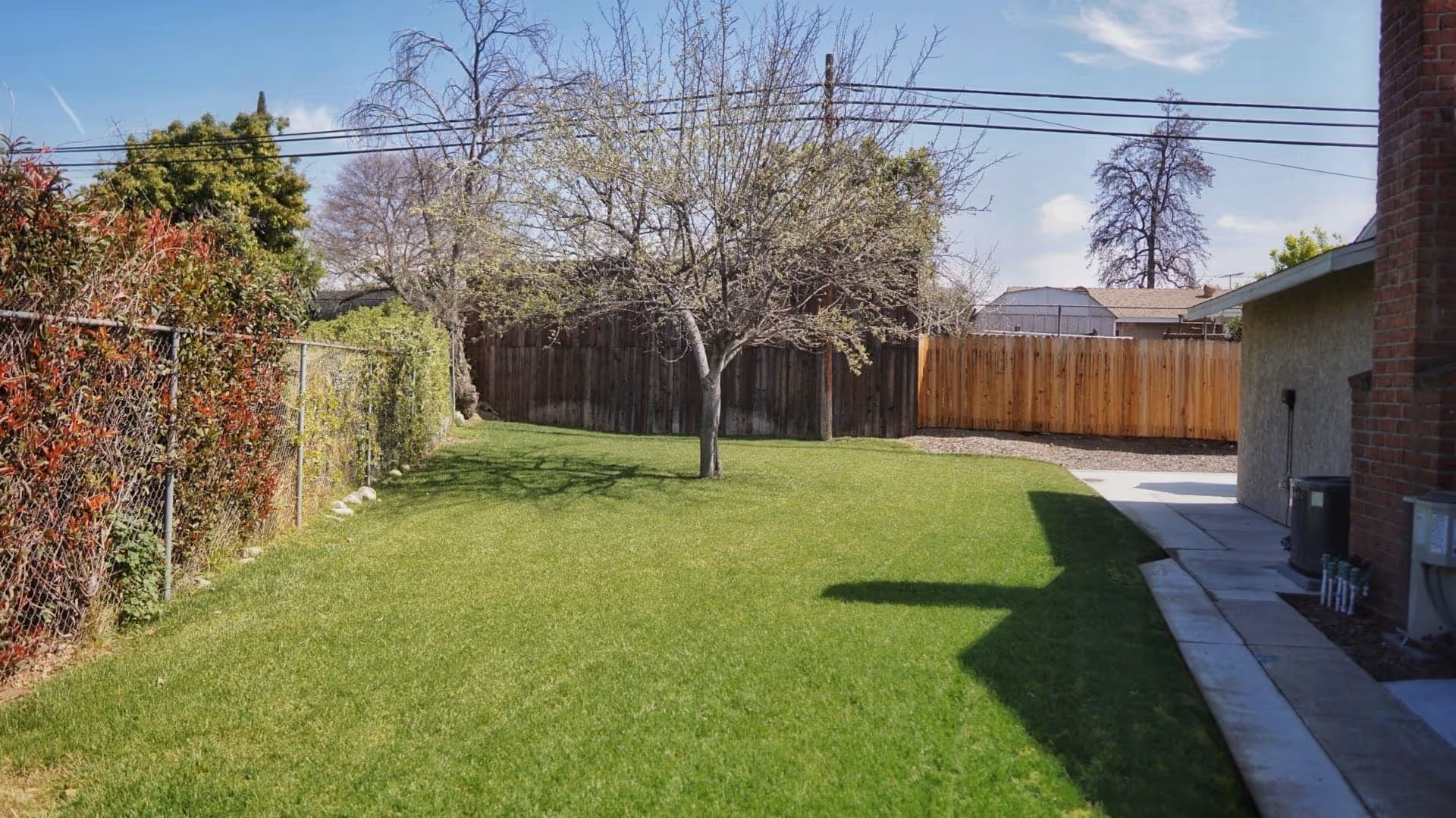 A backyard with a green lawn, a leafless tree in the center, a chain-link fence with some red and green foliage on the left, and a wooden fence at the back. There is a concrete pathway along the right side next to a building with a brick chimney and some utility units. The sky is clear with a few clouds.