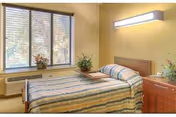A simple single-occupancy bedroom with a bed, nightstand, wall light, window with blinds, and potted plants.