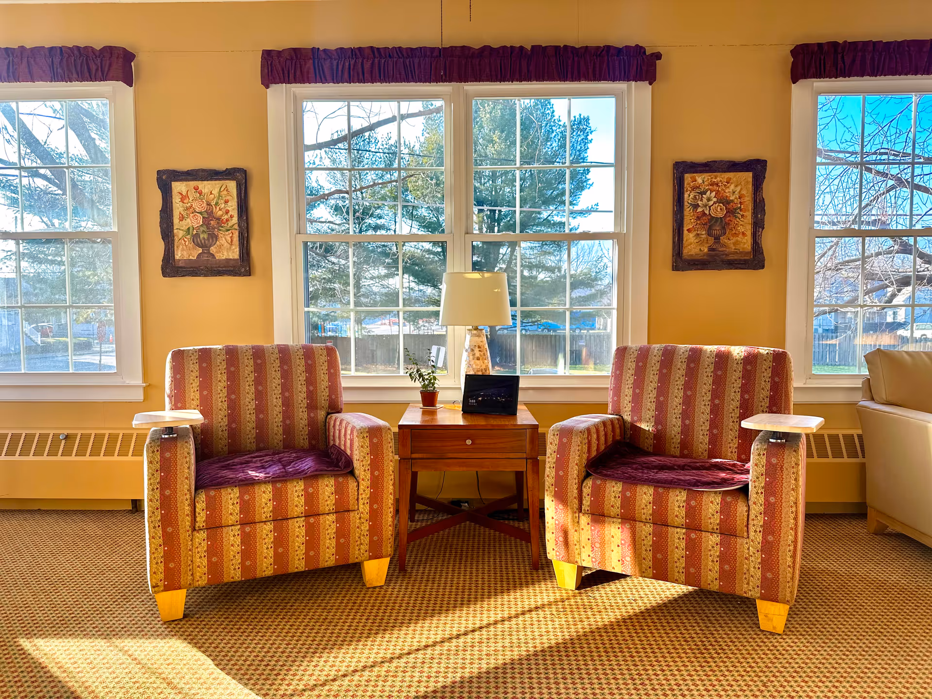 A cozy sitting area with two striped armchairs featuring purple cushions, separated by a wooden side table holding a small potted plant, a lamp, and a digital photo frame. The background shows three large windows with a view of trees and a fence outside, and two framed floral paintings hang on the wall between the windows.