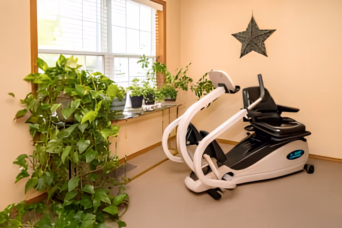A small exercise room with a recumbent exercise bike positioned near a window. The window sill is adorned with several potted green plants, and additional green plants are placed on the floor nearby. A decorative star hangs on the beige wall above the exercise bike.