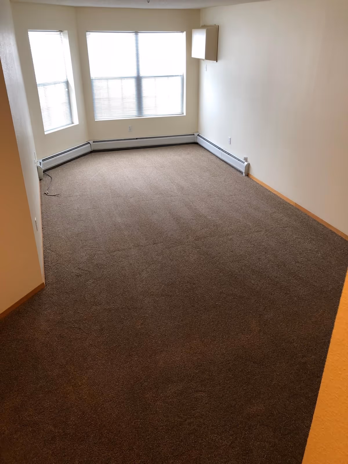 Empty carpeted living room with a large bay window and baseboard heaters along the walls.