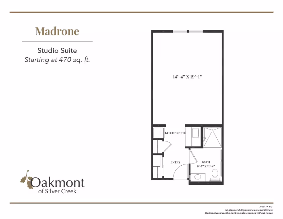 Floor plan graphic for the 'Madrone' studio suite at Oakmont of Silver Creek showing a kitchenette, entry, bathroom, and main living area with dimensions.