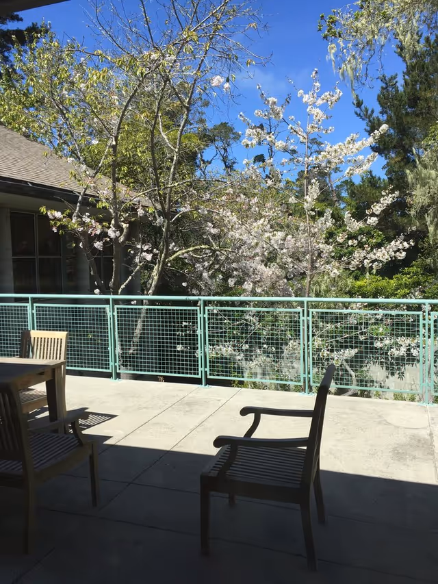 Outdoor patio area with wooden chairs and a table, overlooking a green metal railing and blooming trees under a clear blue sky.