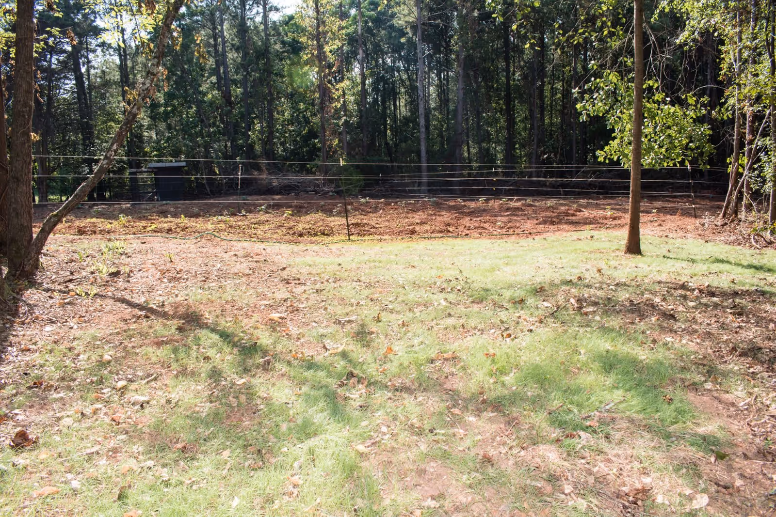 Outdoor area with a grassy patch and some bare soil, surrounded by tall trees and a wire fence in the background.