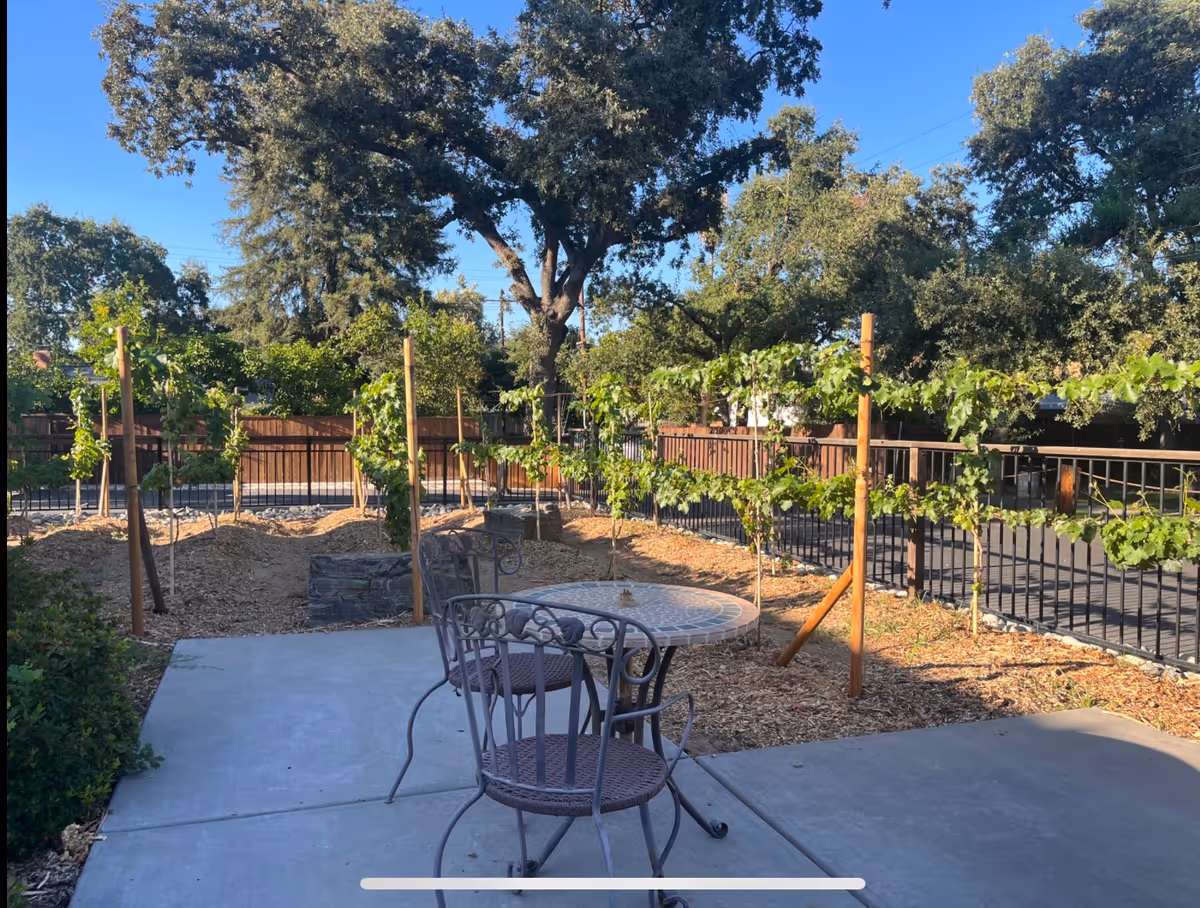 Outdoor patio area with a round metal table and two metal chairs on a concrete surface. Surrounding the patio are small plants and a garden with wooden stakes supporting green vines. Large trees and a wooden fence are visible in the background under a clear blue sky.